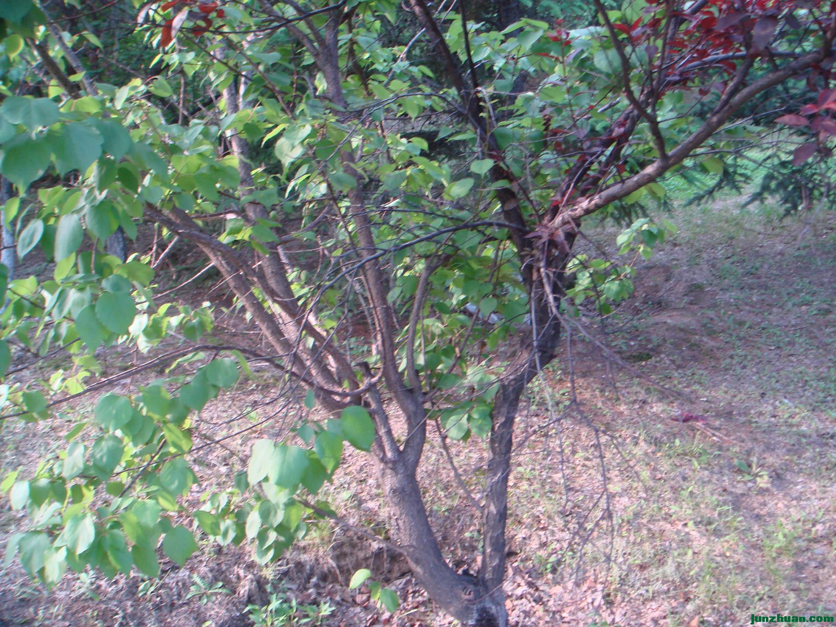 DSC06412.JPG