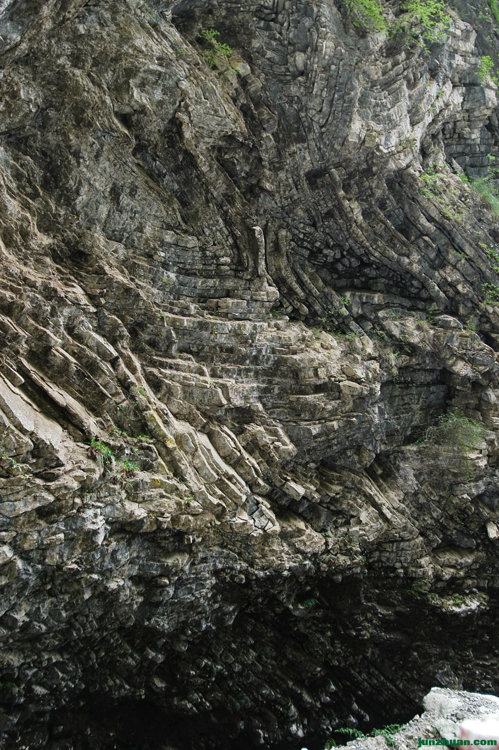 DSC_42561.jpg