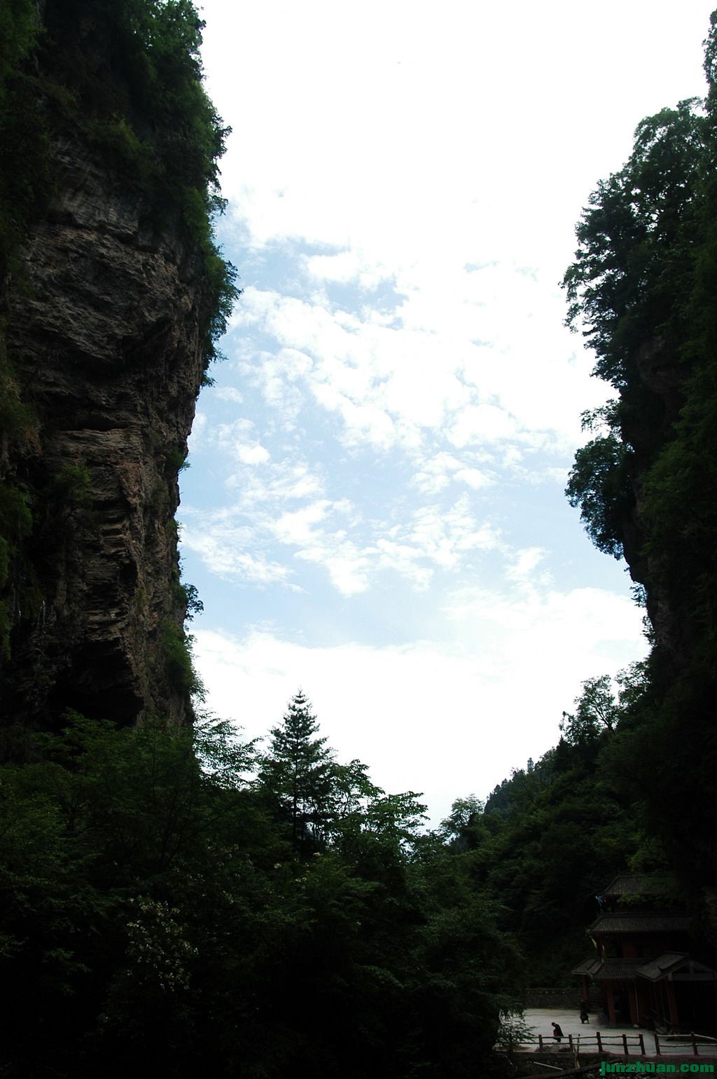 DSC_43121.jpg