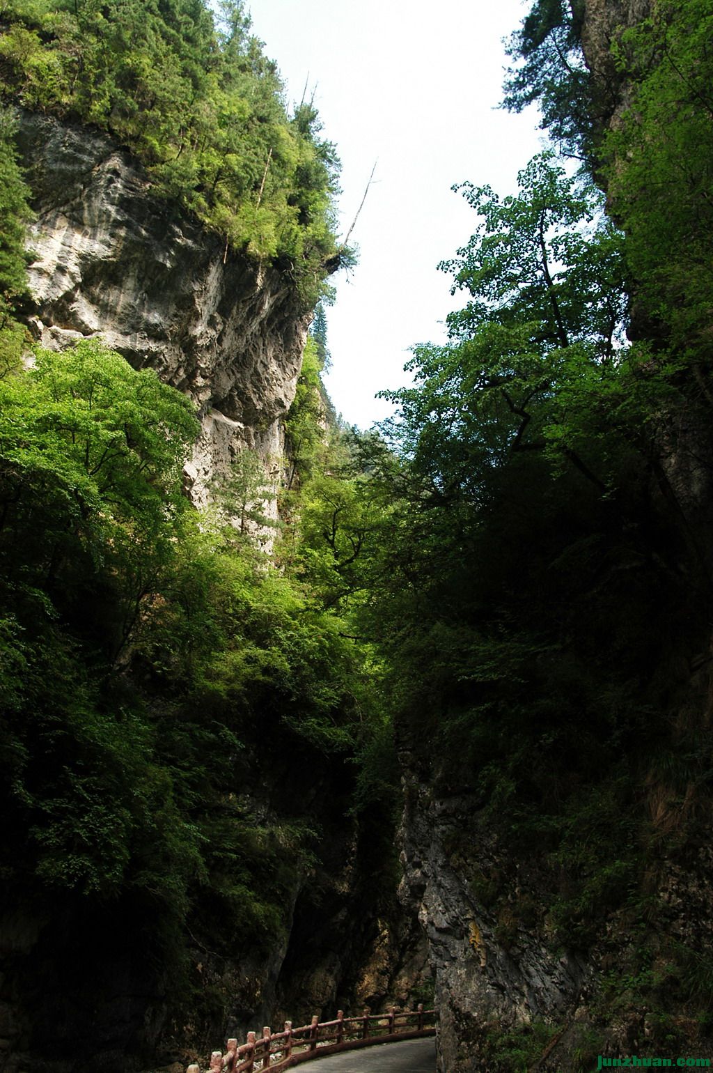 DSC_43221.jpg