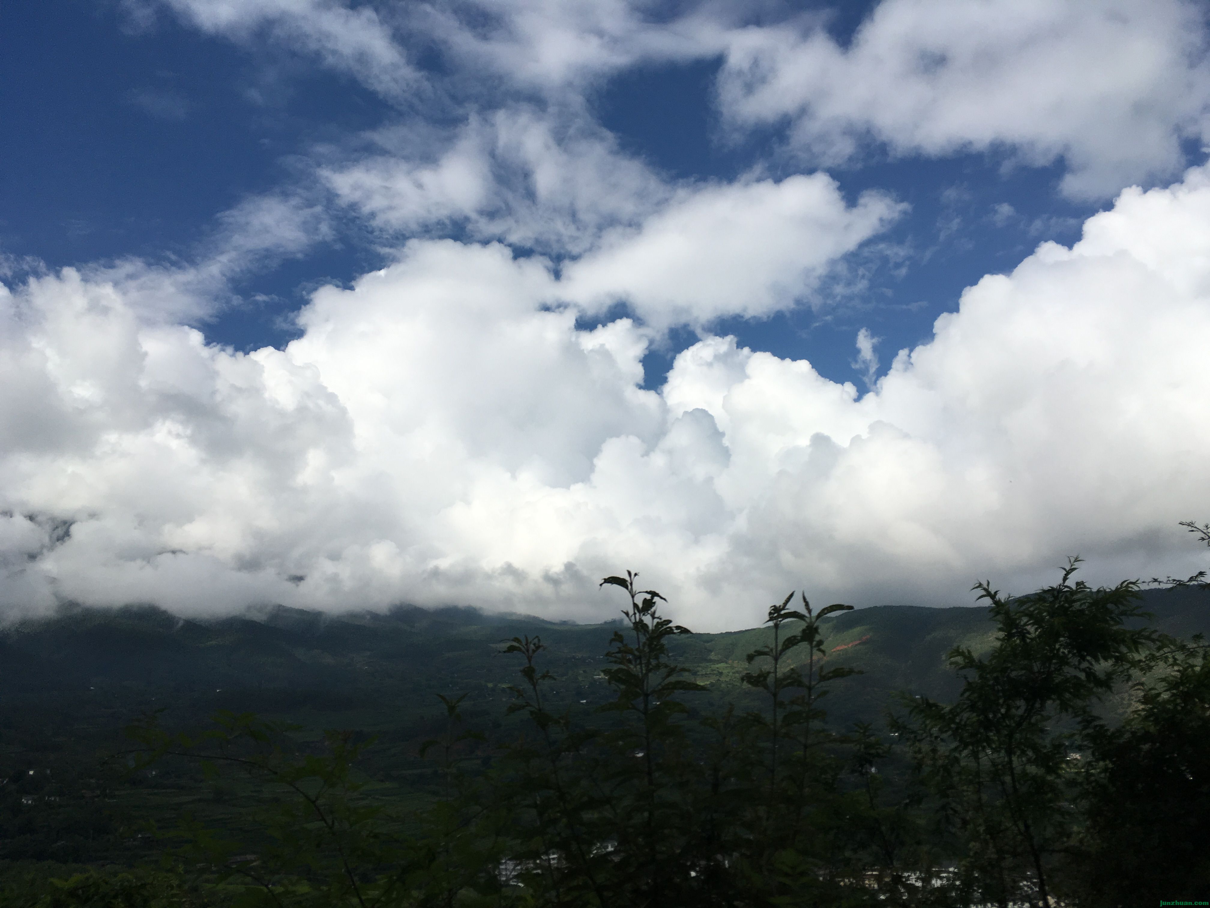 IMG_1200.JPG