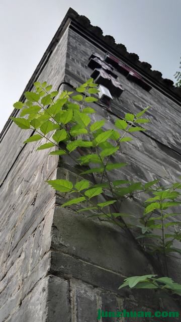 IMG_20160717_072508.jpg