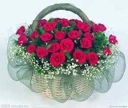 u=2424446054,3806444990&amp;fm=21&amp;gp=0.jpg