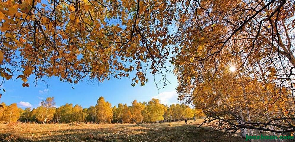 360ͼ20161102084428067.jpg