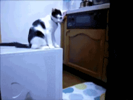 201242903445777.gif