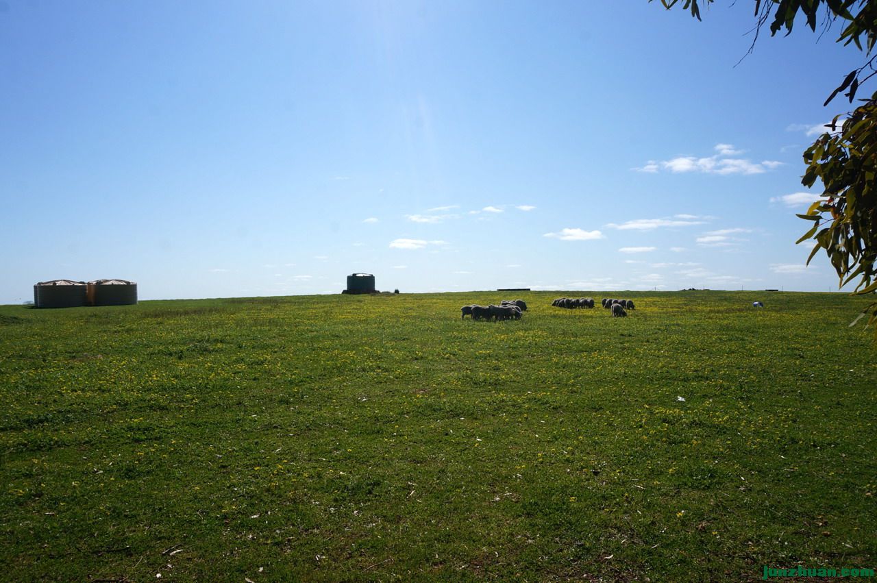 09.jpg