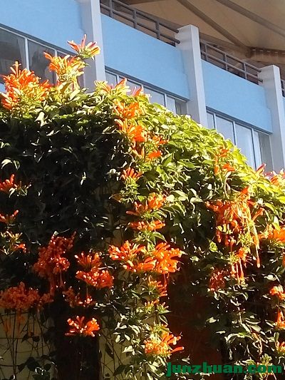 IMG_20161122_163201.jpg