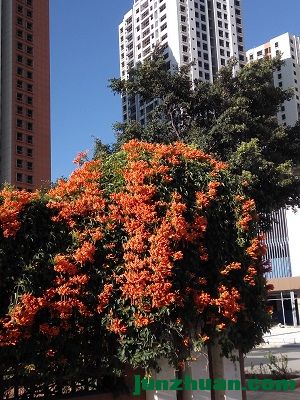 IMG_20161122_164504.jpg