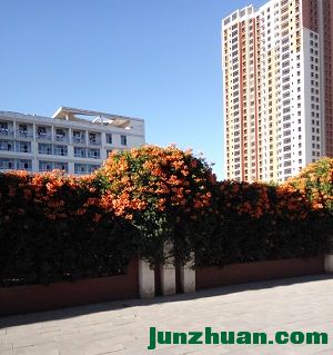 IMG_20161122_164725.jpg