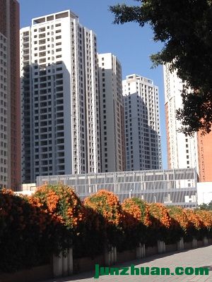 IMG_20161122_164923.jpg