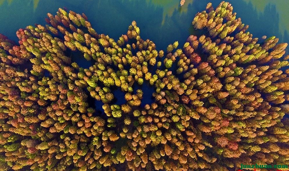 360ͼ20161208085054857.jpg