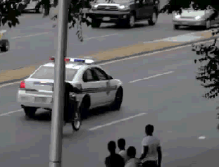 111.gif