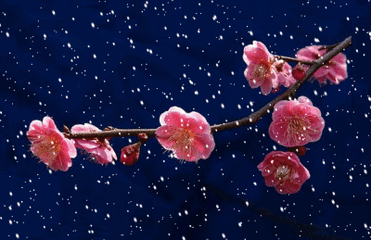 t01c2b48fce**b4317.gif