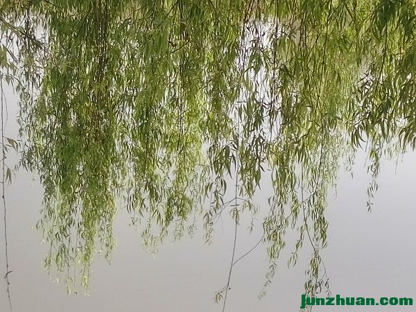 IMG_20170410_083536_HDR.jpg