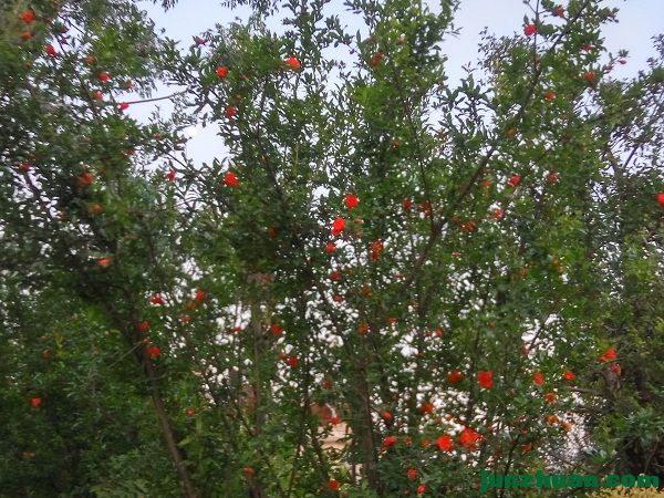 IMG_20170408_191623_HDR.jpg