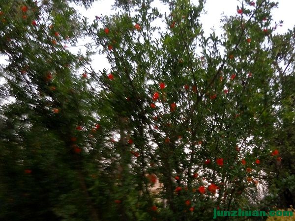 IMG_20170408_191624_HDR.jpg
