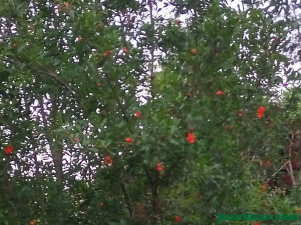 IMG_20170408_191645_HDR.jpg