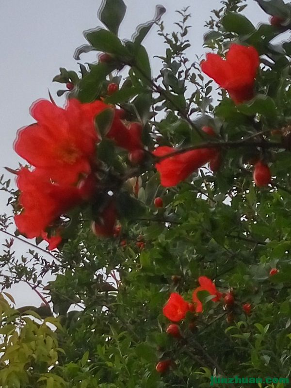 IMG_20170408_191713_HDR.jpg