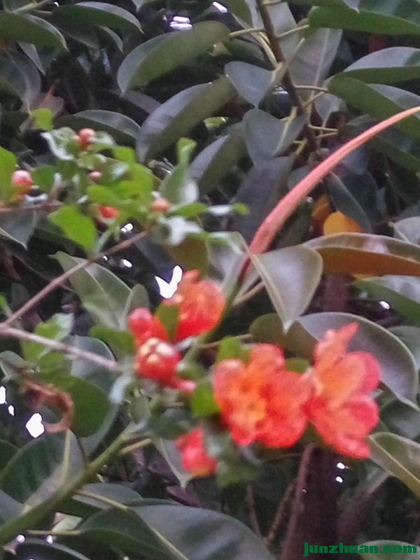 IMG_20170408_191730_HDR.jpg