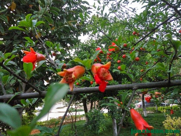 IMG_20170408_191840_HDR.jpg