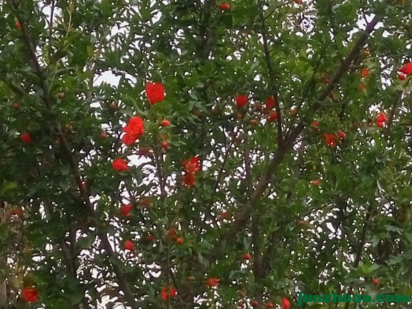 IMG_20170408_191632_HDR.jpg
