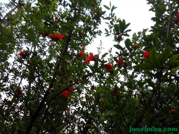 IMG_20170408_191829_HDR.jpg