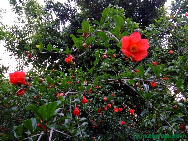 IMG_20170408_191959_HDR.jpg
