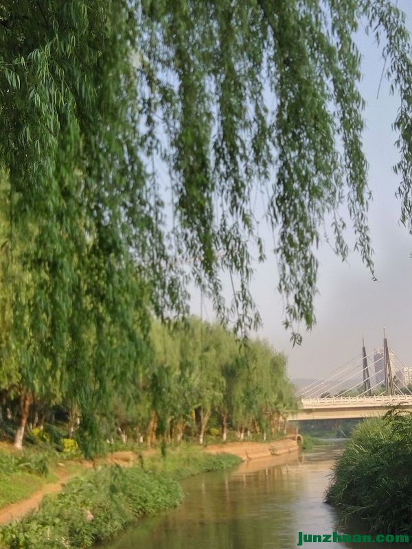 IMG_20170410_084648_HDR.jpg