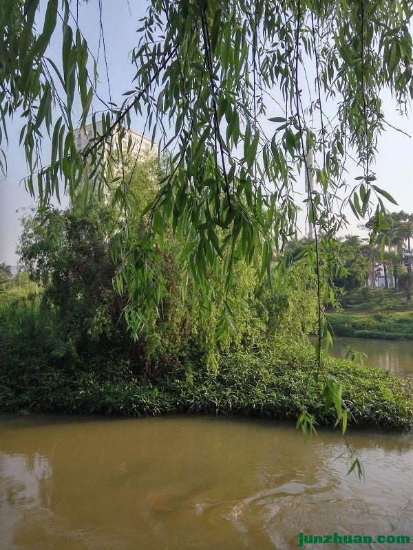 IMG_20170410_084708_HDR.jpg