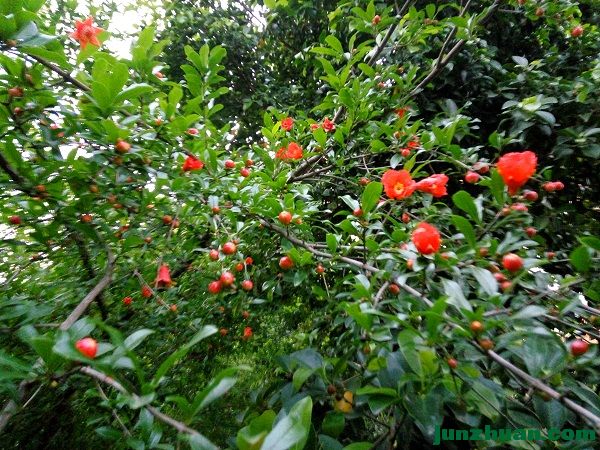 IMG_20170408_192028_HDR.jpg