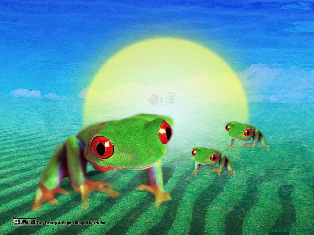 3255539580637301991.jpg