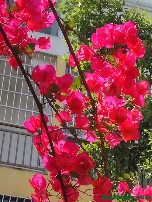 IMG_20170506_110407_HDR.jpg