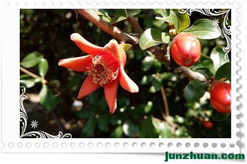 IMG_20170509_102933__.jpg