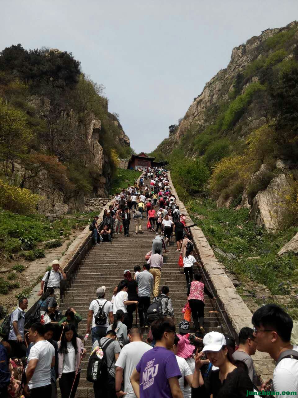 mmexport1494053675370.jpg