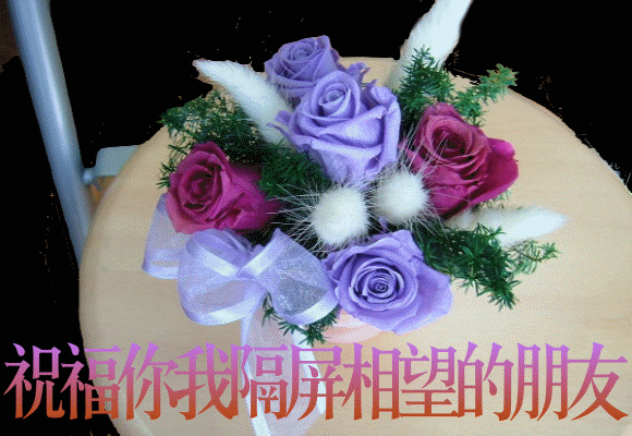 ףҸԶĿ.gif