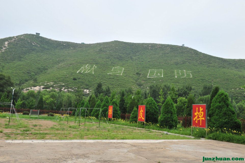 DSC_4715.jpg