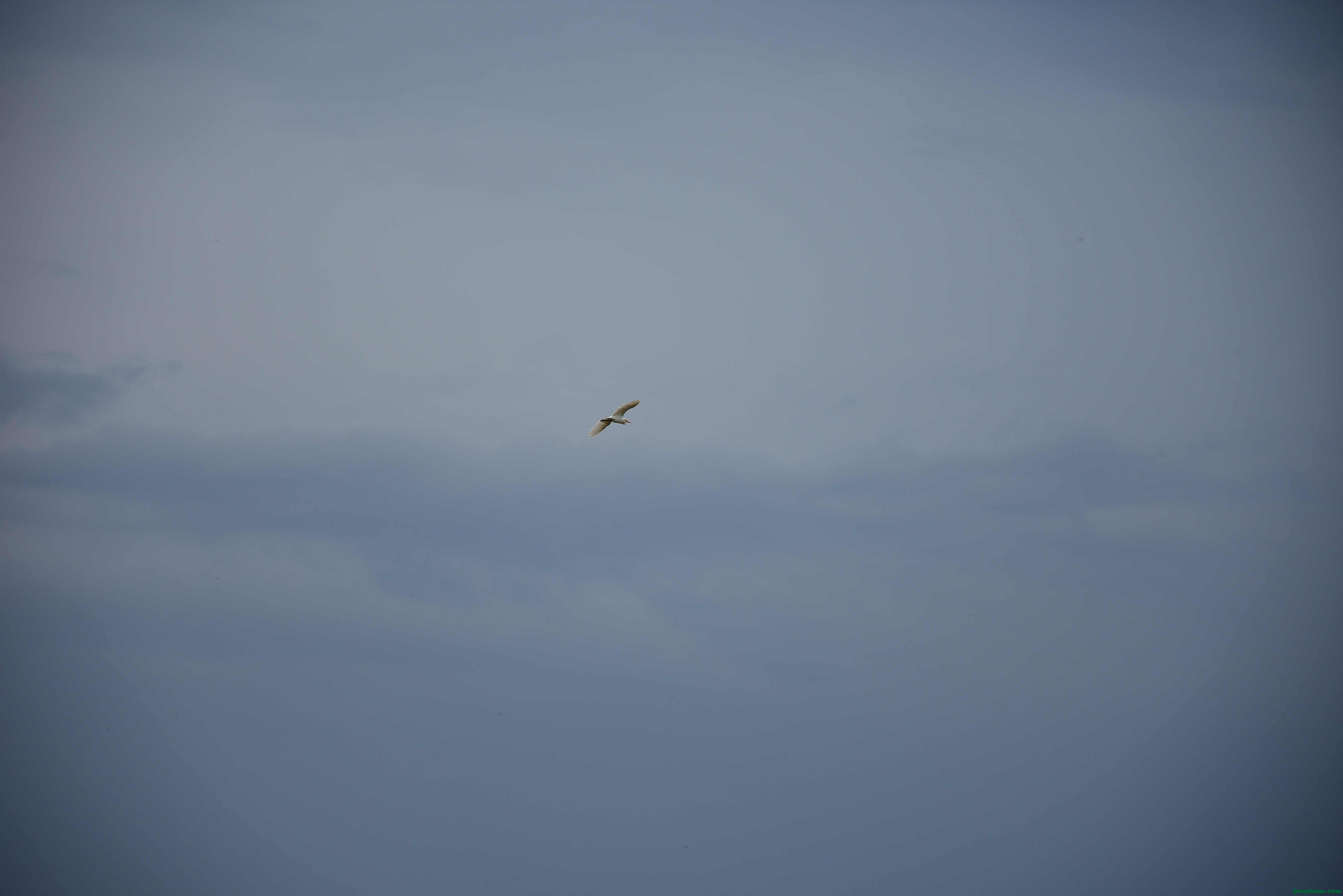 DSC_3010.JPG