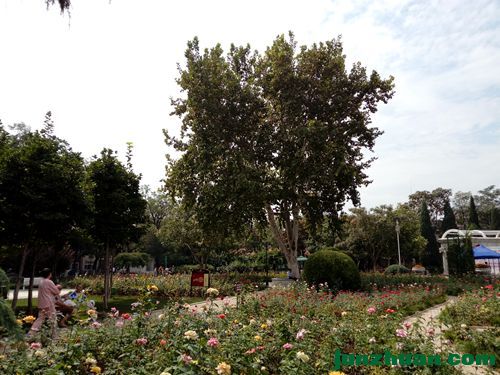 IMG_20170915_110729_.jpg