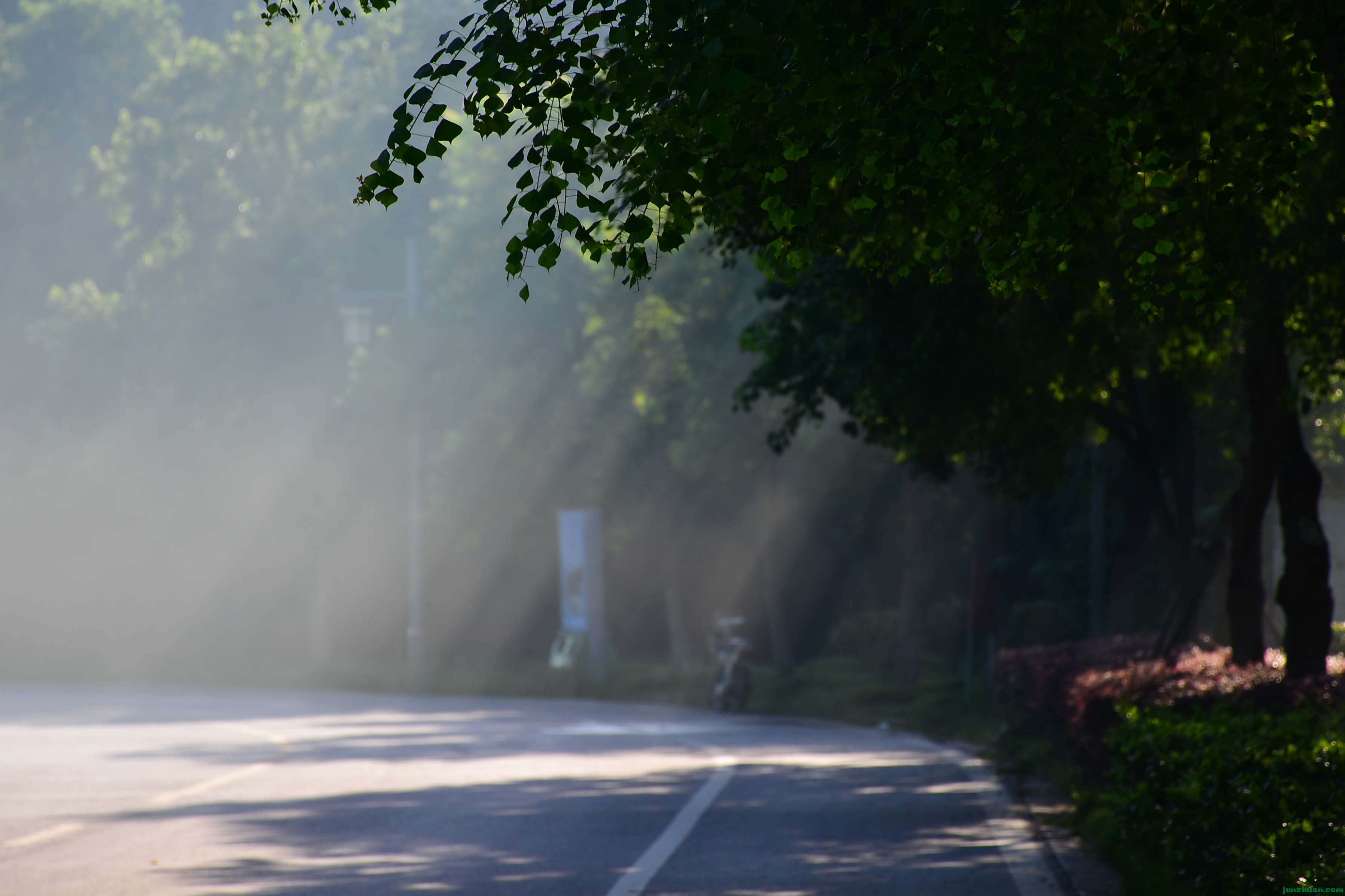 DSC_3323.JPG