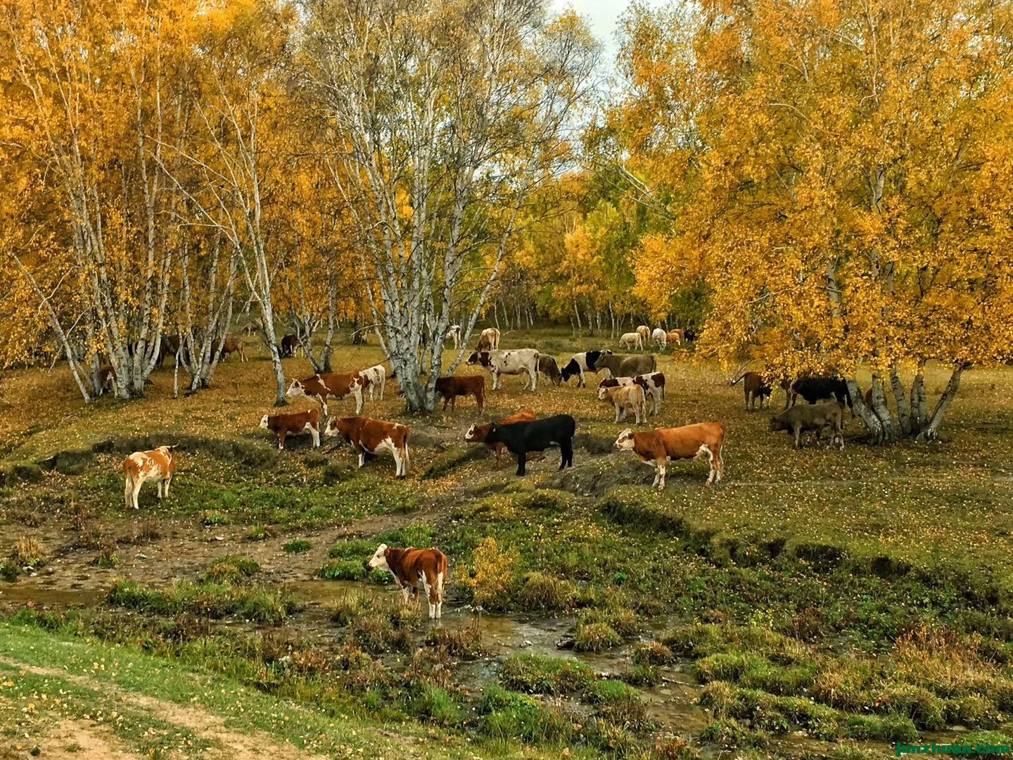 ΢ͼƬ_20170926172229.jpg