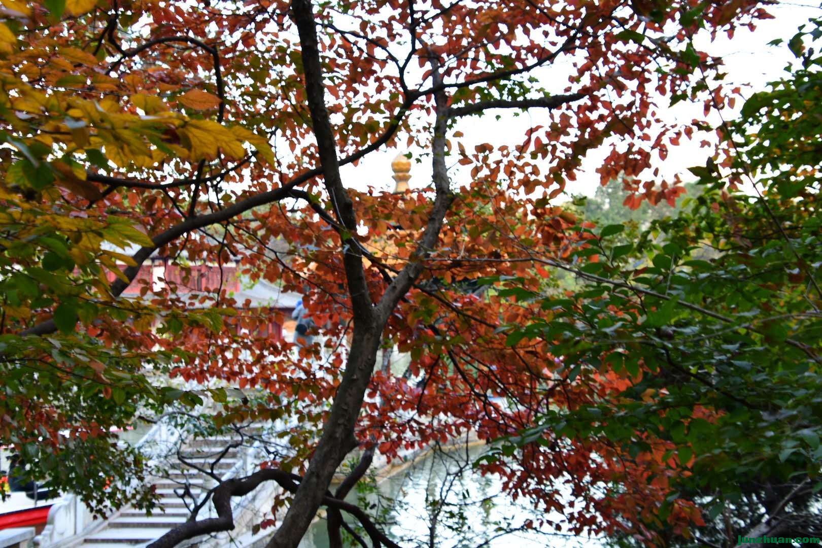 ΢ͼƬ_20171106081314.jpg