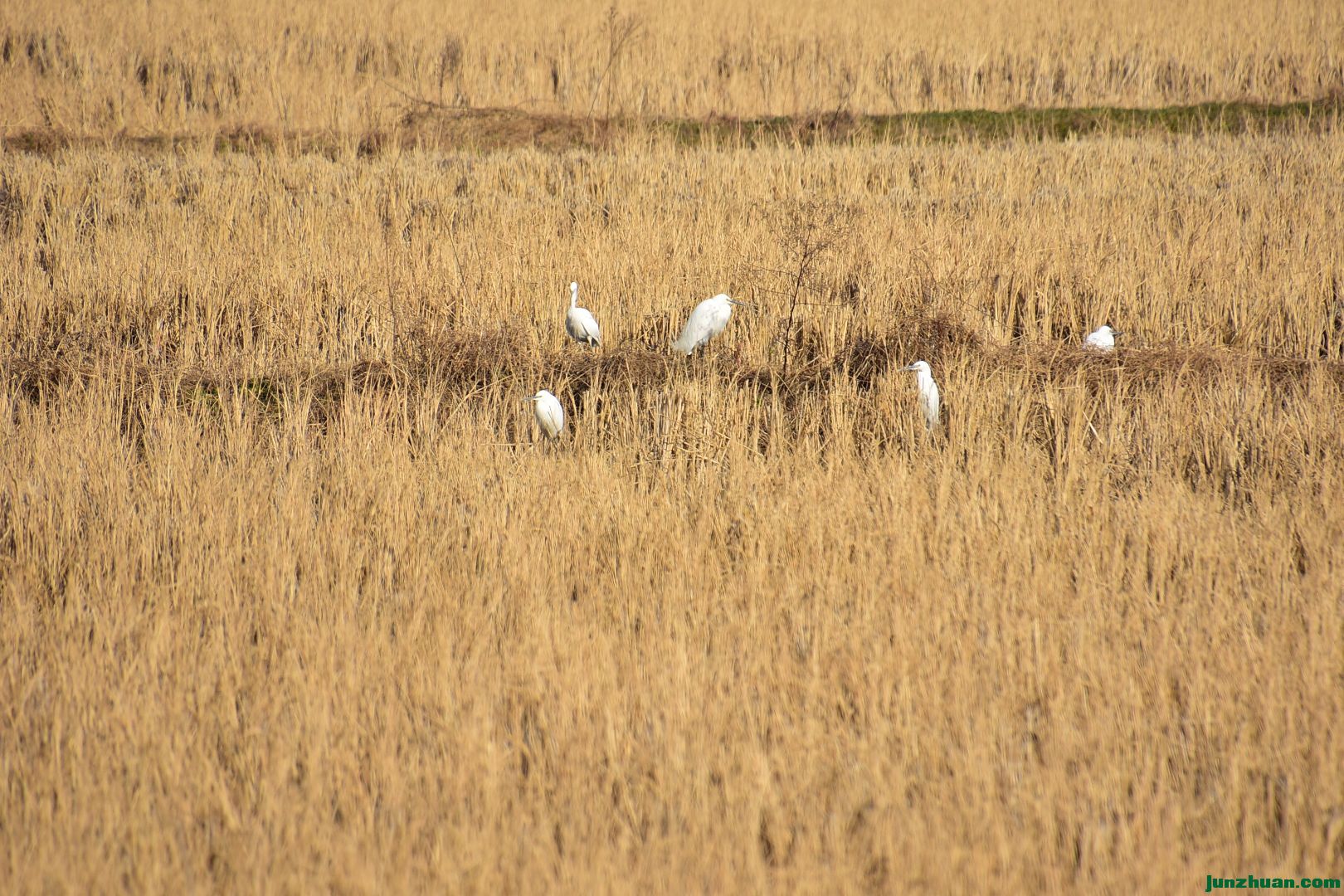 DSC_6036.JPG