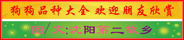 Ʒִȫ1_.gif