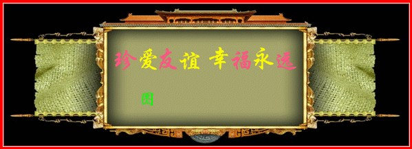 11_.gif