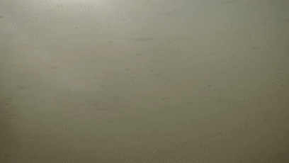 3.gif