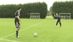 t018176d928e3ebffdd.gif