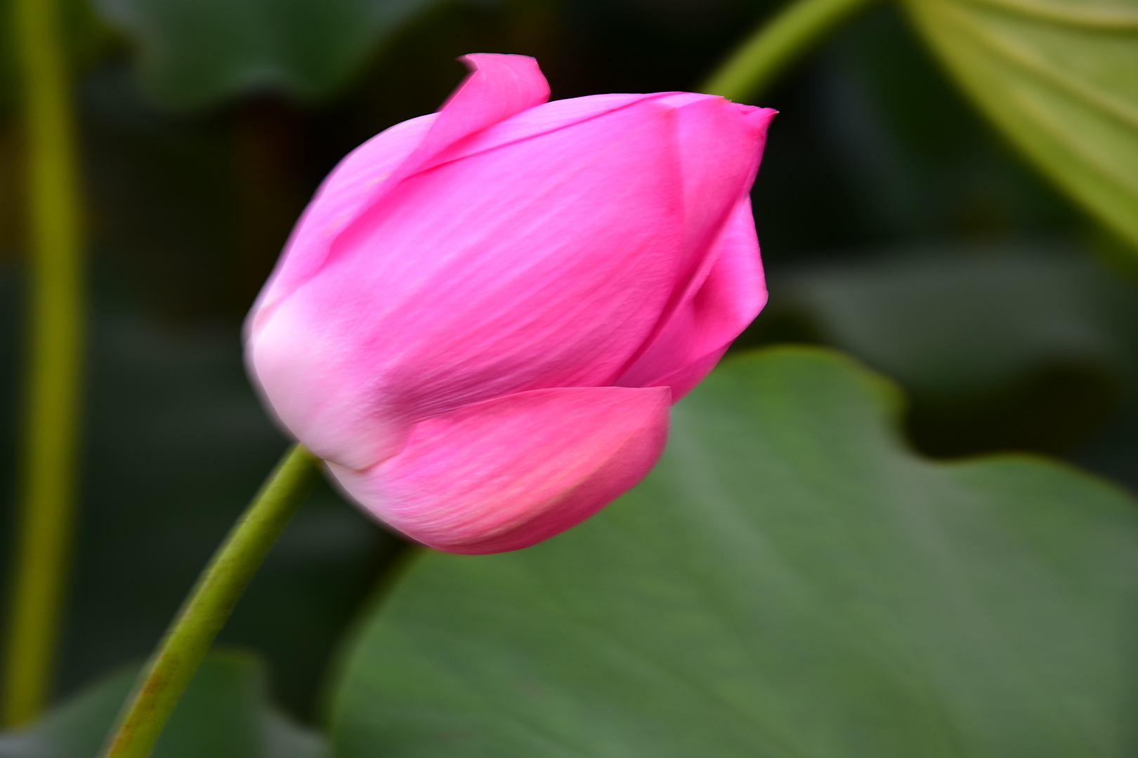 DSC_0672.JPG