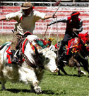 t01d1aefa72c6eaebe5.jpg
