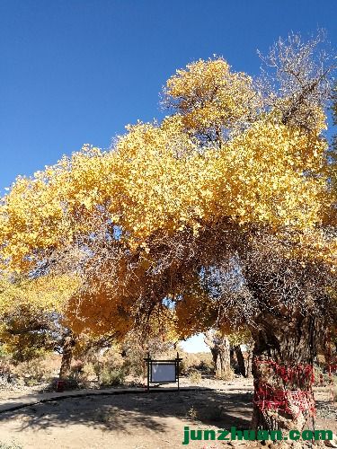 IMG_20181002_093730.jpg