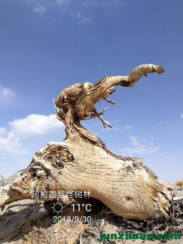 IMG_20180930_153805.jpg